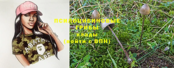 МДПВ Майский