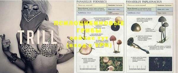 ALPHA PVP Магадан